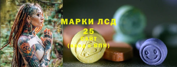 винт Аркадак