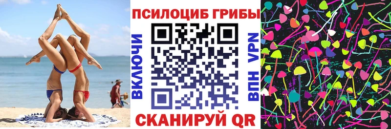 Псилоцибиновые грибы MAGIC MUSHROOMS  где можно купить   Ленинск 